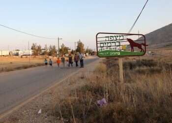 מצפה כרמים. צילום: אופיר דוד