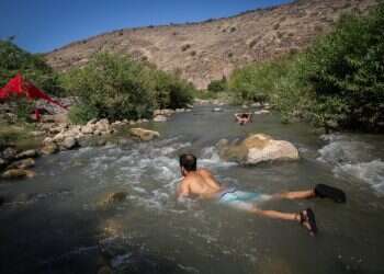 צילום: דוד כהן