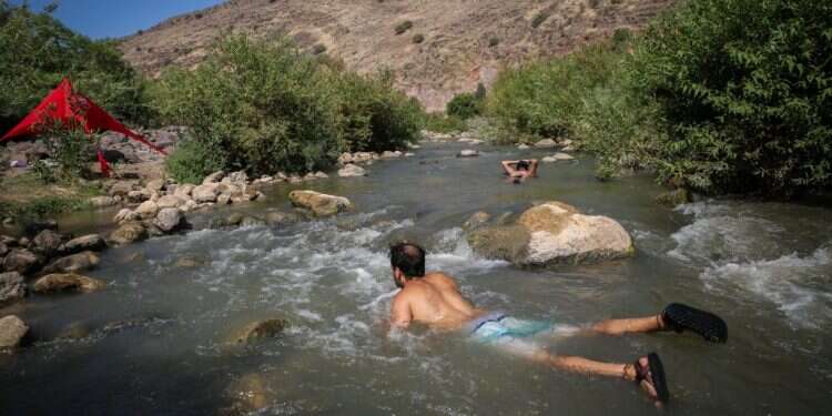 נחל כרכום בגולן. צילום: דוד כהן צילום: דוד כהן