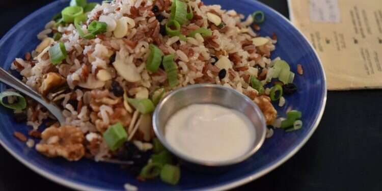 צילום: חן קורן