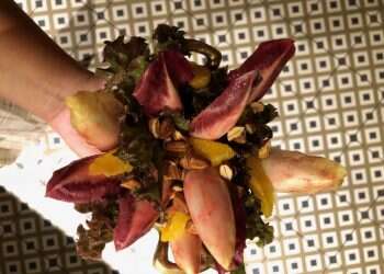 צילום: חן קורן