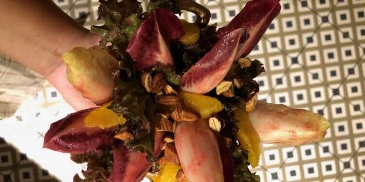 צילום: חן קורן