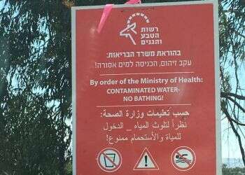 צילום: אייל מרגולין, ג'יני