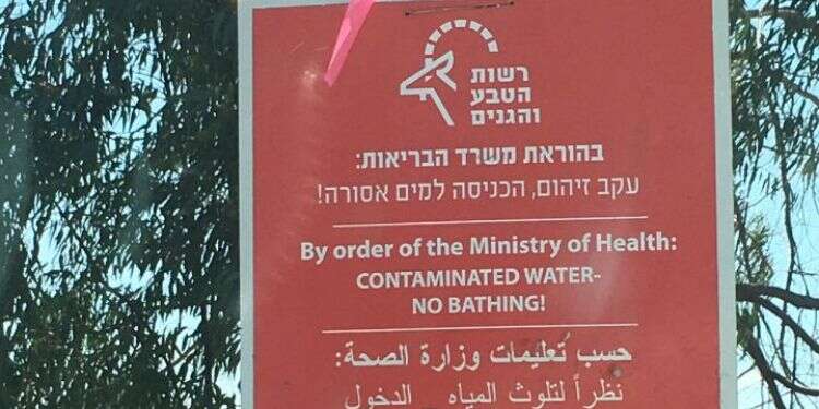זיהום בנחלי הצפון. צילום: אייל מרגולין, ג'יני צילום: אייל מרגולין, ג'יני