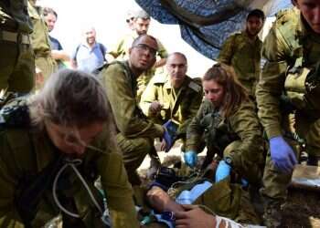 צילום: דו''צ