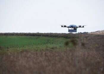 צילום: דו''צ