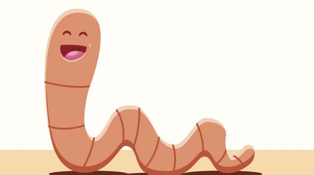 איור: שאטרסטוק איור: שאטרסטוק