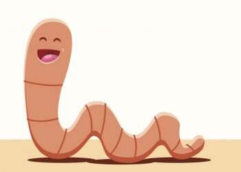 איור: שאטרסטוק