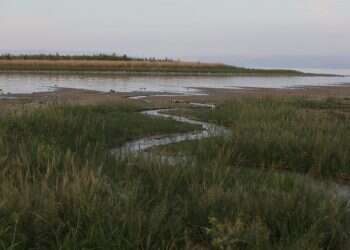 צילום: מרים צחי