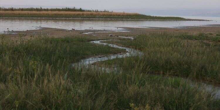 צילום: מרים צחי