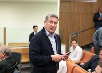 צילום: מור שאולי