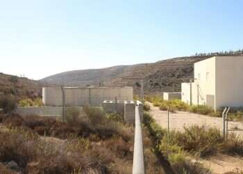 צילום: מרים צחי