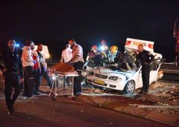 צילום: דודו גרינשפן