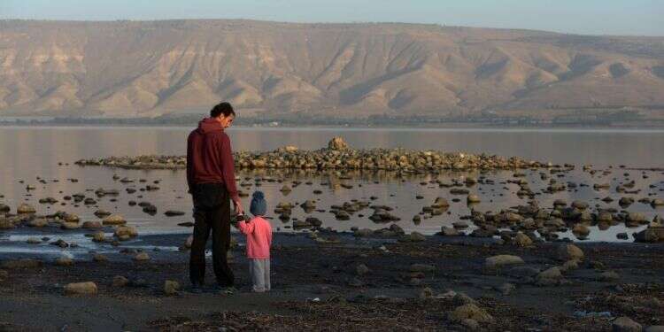 צילום: גיל אליהו, ג'יני