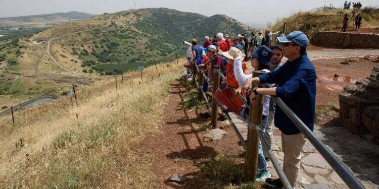 צילום: אייל מרגולין, ג׳יני