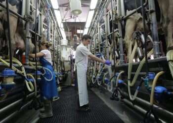 צילום: יוסי אלוני