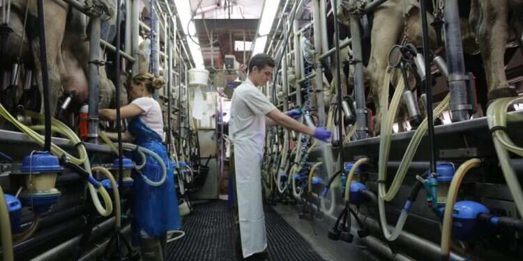 צילום: יוסי אלוני