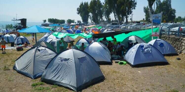 צילום: גיל אליהו, ג'יני