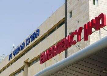 צילום: אנצ׳ו גוש-ג׳יני