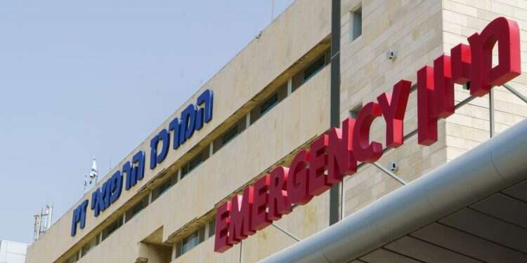 צילום: אנצ׳ו גוש-ג׳יני