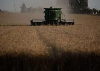 צילום: יהודה פרץ