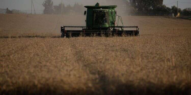 צילום: יהודה פרץ