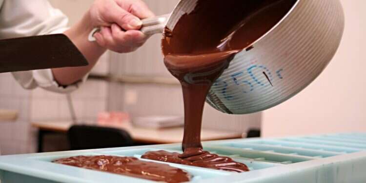 צילום: שאטרסטוק