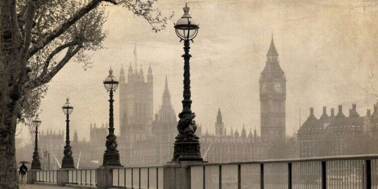 צילום: שאטרסטוק צילום: שאטרסטוק