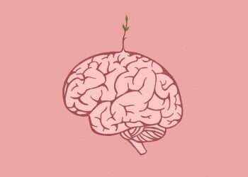 איור: שרון ארדיטי