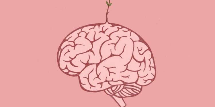 איור: שרון ארדיטי איור: שרון ארדיטי