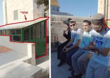 צילום: ארנון סגל