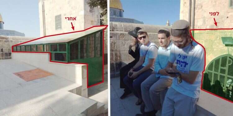 צילום: ארנון סגל