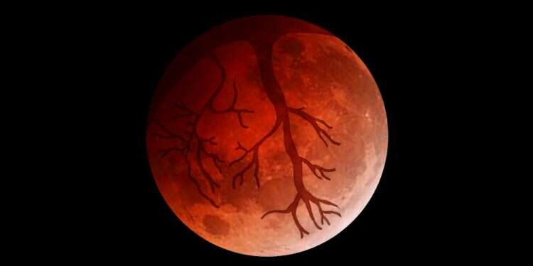 איור: שרון ארדיטי