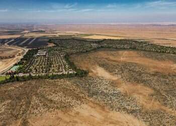 נדידת הקולות: גם לדתיים לאומיים היה חלק בהצלחת ש"ס