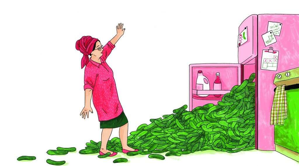 איור: נועה קלנר