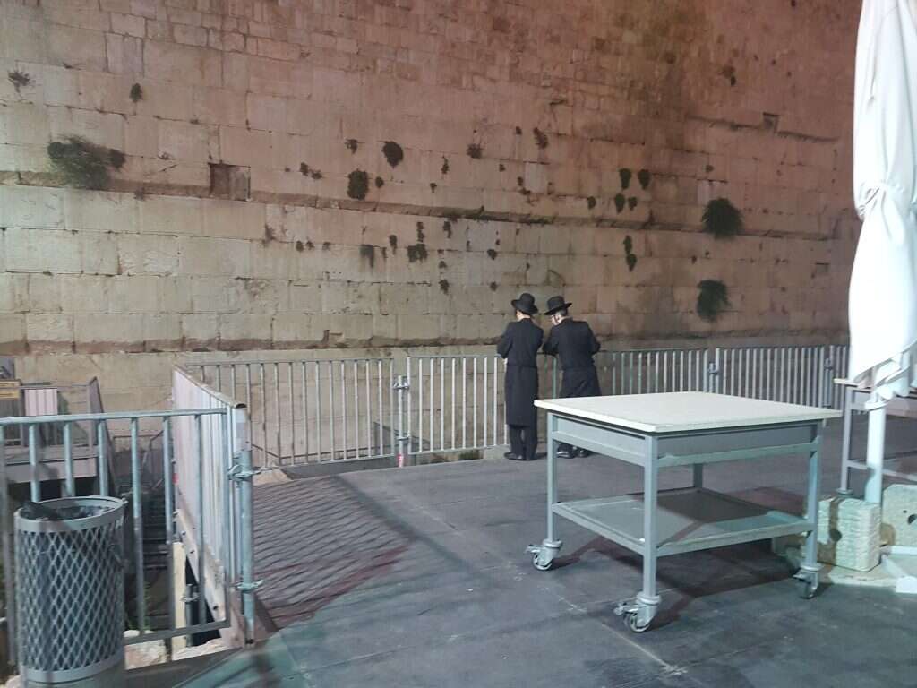 חרדים ב"עזרת ישראל". צילום: צביקה קליין