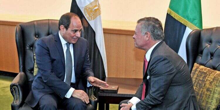 המלך עבדאללה וא-סיסי בניו יורק. צילום: AFP צילום: AFP