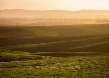 צילום: מאור קינסבורסקי, פלאש 90