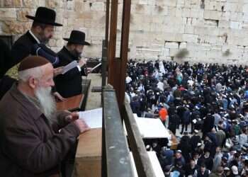 צילום: מרים צחי