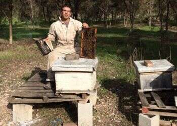 "כשמועצת הדבש מתערבת, היא שומרת על בעלי המונופול"