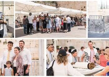 צילום: אביטל הירש