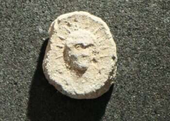 צילום: אסף שטרן