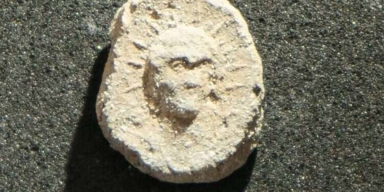 צילום: אסף שטרן