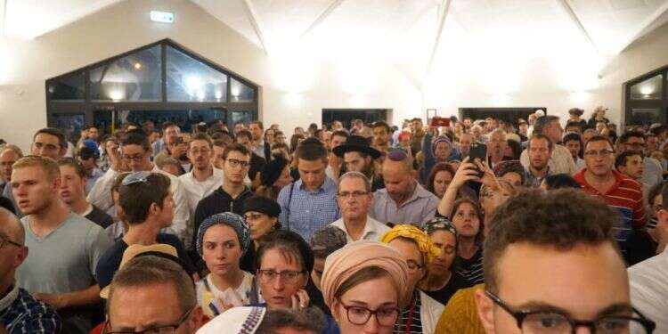 צילום: מאיר אליפור/TPS