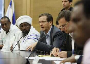 צילום: דודי ועקנין