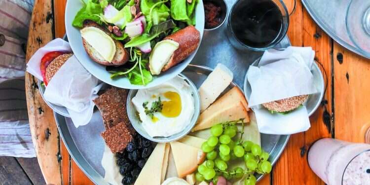 צילום: חן קורן