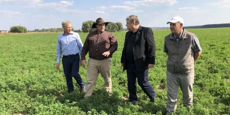 סיור של דרום אפריקנים בשטח חקלאי ברוסיה. צילום: Amie Ferris-Rotman, וושינגטון פוסט צילום: Amie Ferris-Rotman, וושינגטון פוסט