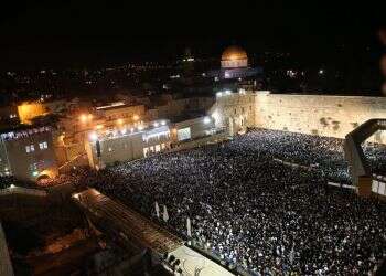 צילום: מרים צחי