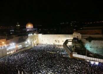 צילום: מרים צחי