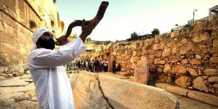 צילום: יוסי זמיר צילום: יוסי זמיר